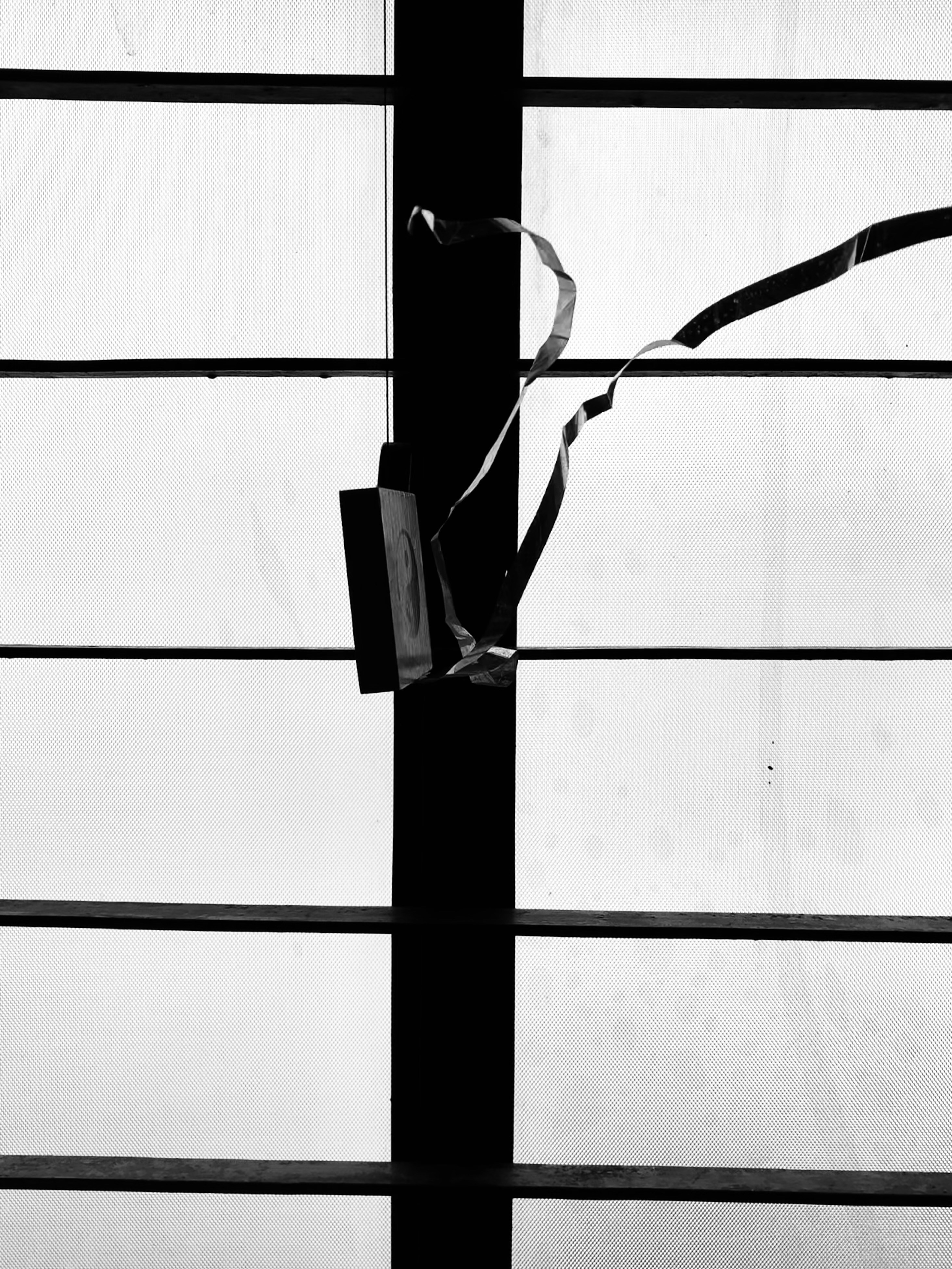 Photo by akshar_dave