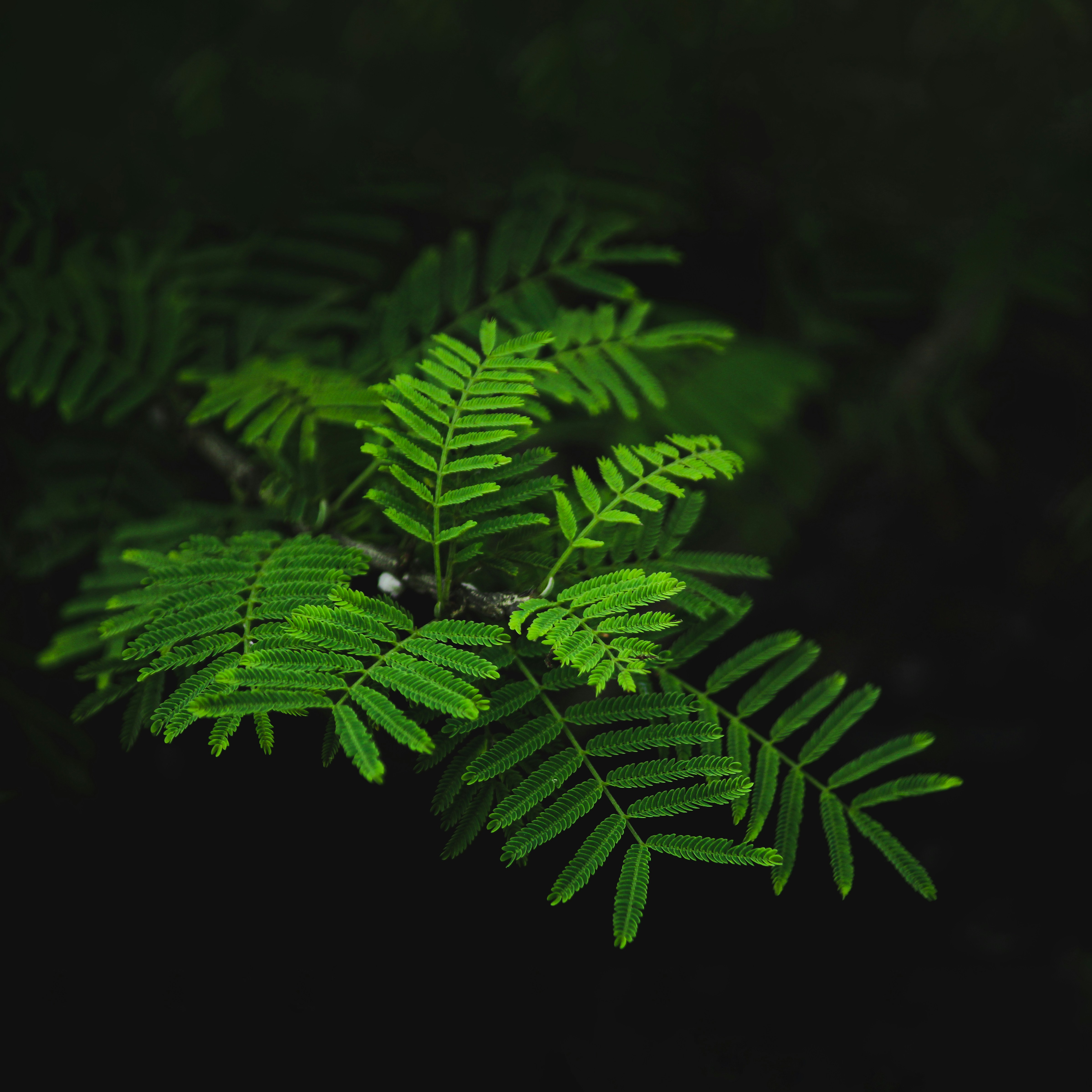 Photo by abhijeet_gourav