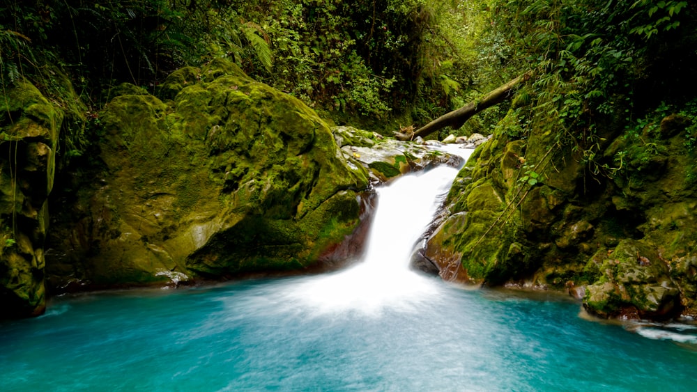 a small waterfall in the middle of a forest