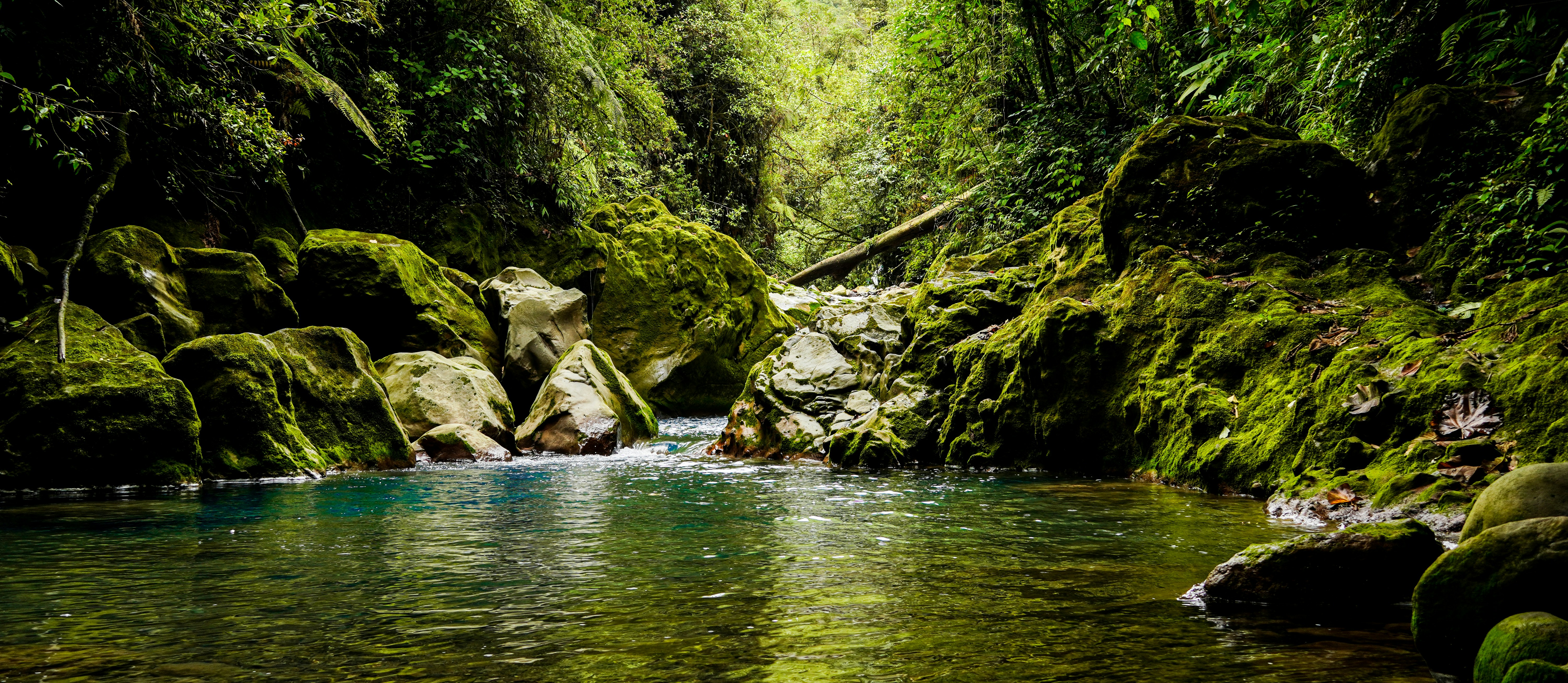 Photo by adrianvalverdem