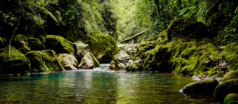 Safari flotante en el río Peñas Blancas