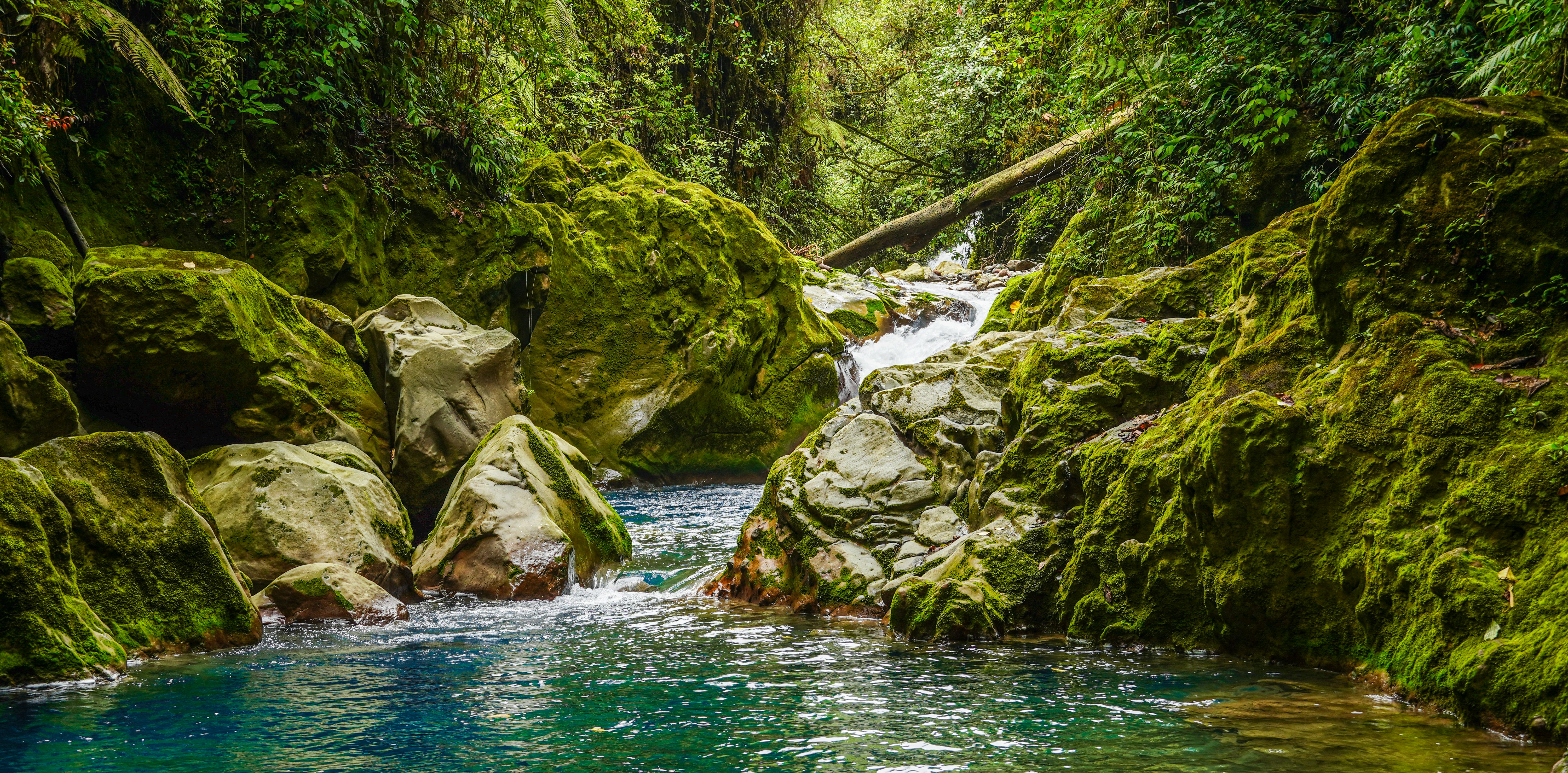 Photo by adrianvalverdem