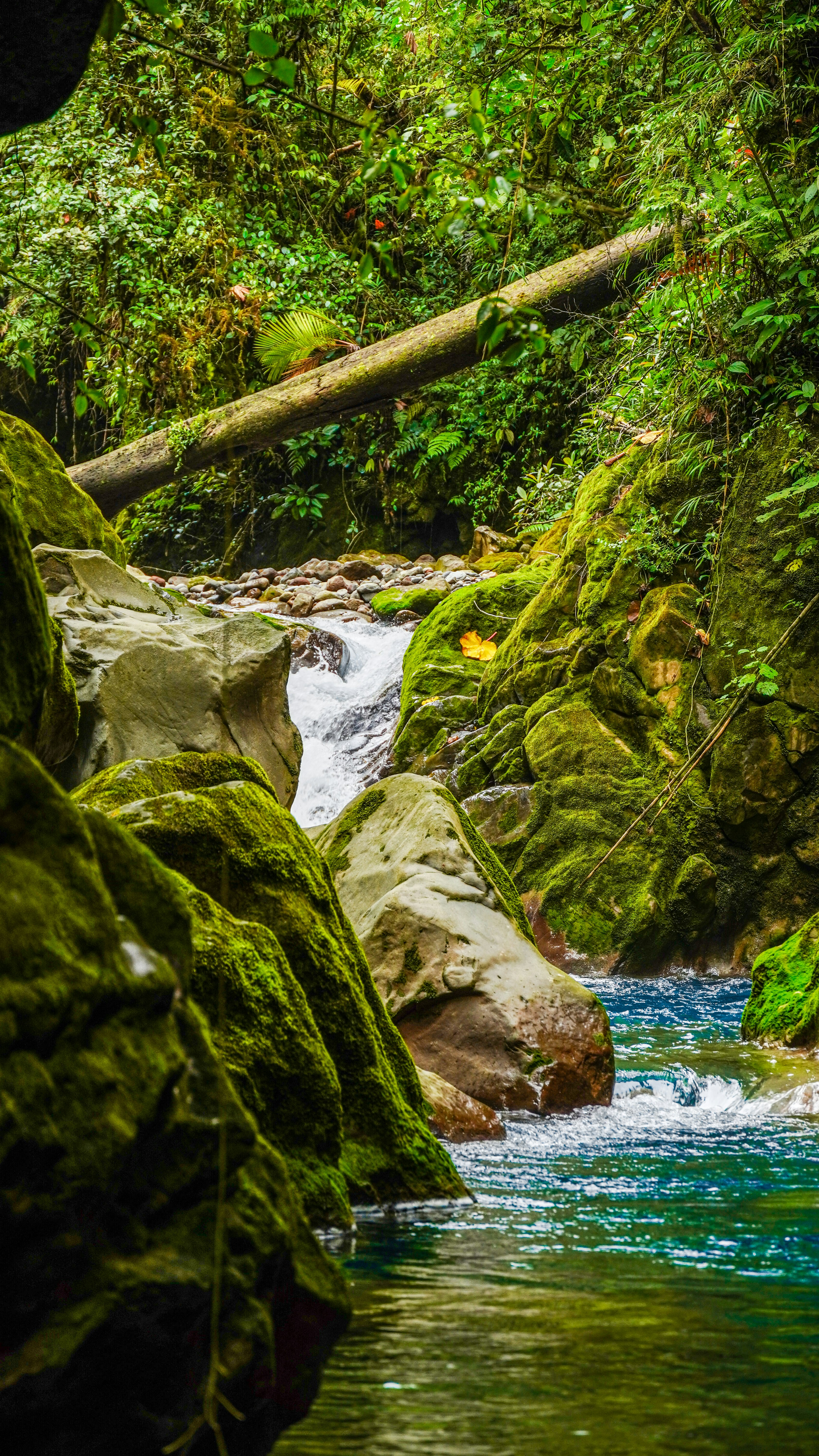 Photo by adrianvalverdem