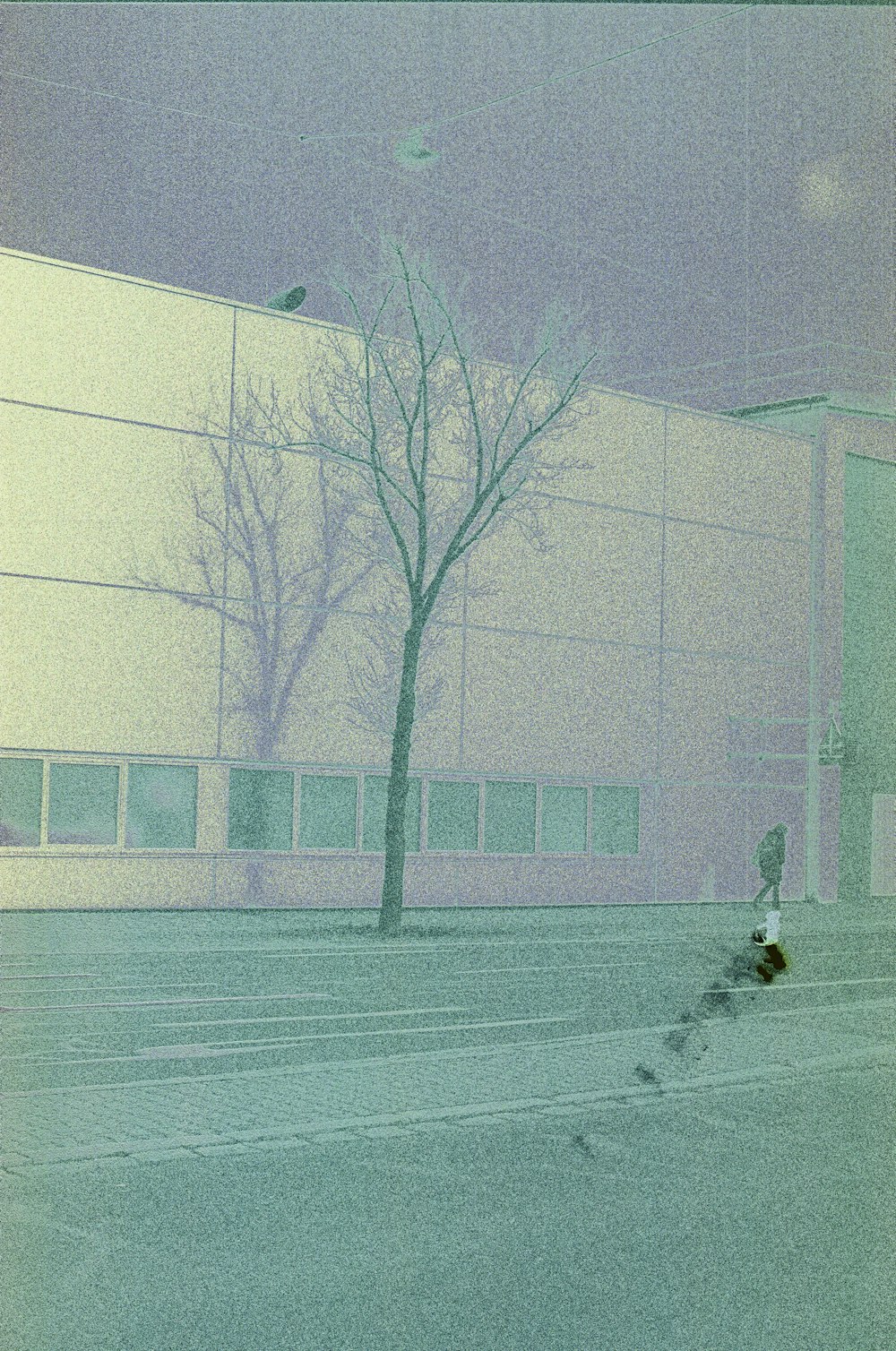 Una persona montando una patineta en una calle de la ciudad