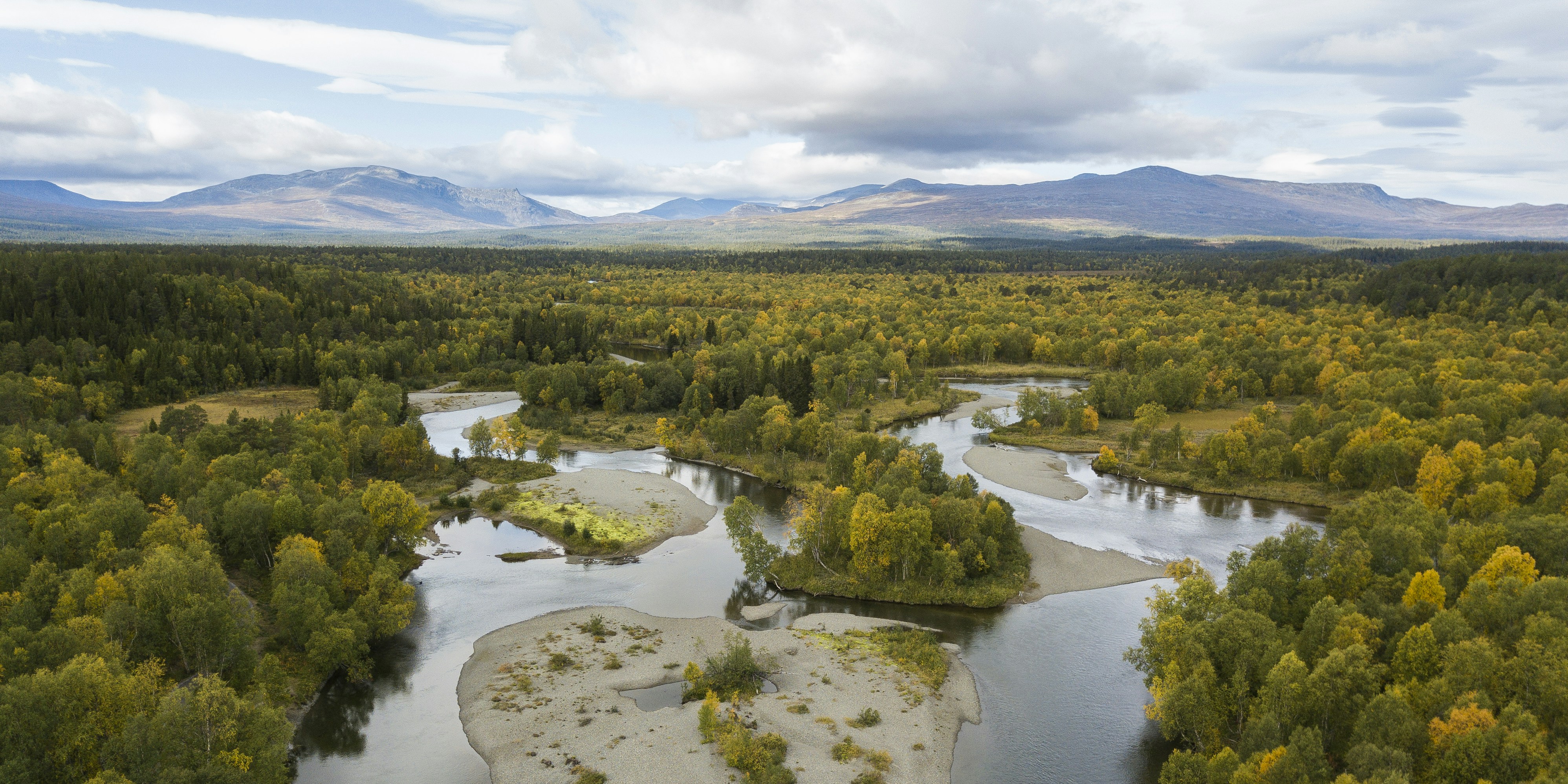 Photo by hendrikmorkel