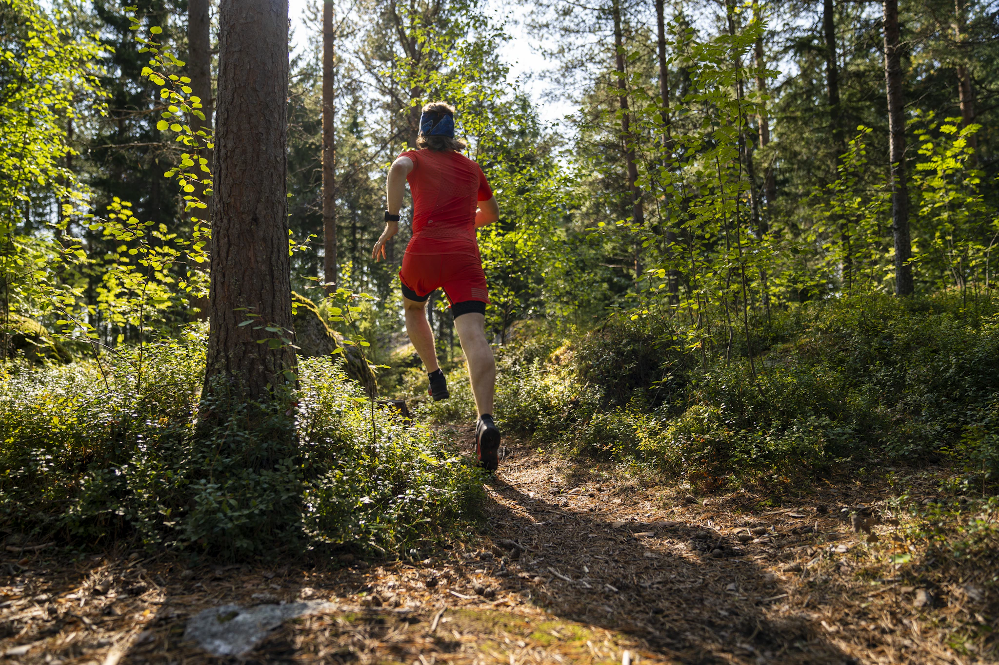 Trailrunner in rotem Shirt läuft bergab über einen wurzeligen Waldweg durch den Wald