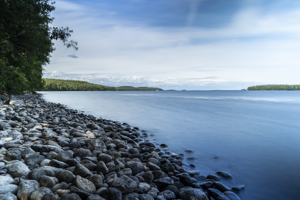 a rocky shore with trees and water in the background