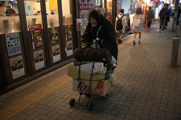 A person wearing a hooded jacket pushes a cart full of belongings. The cart is loaded with cardboard boxes, bags, and other personal items. They are moving along a sidewalk lined with shop windows displaying colorful posters and signage. Several people walk past in the background, and the setting appears to be an urban area at night.