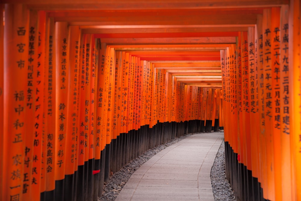 a walkway lined with rows of orange tori tori tori tori tori tori tori tori tori