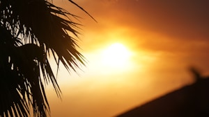 Atardecer Vibrante