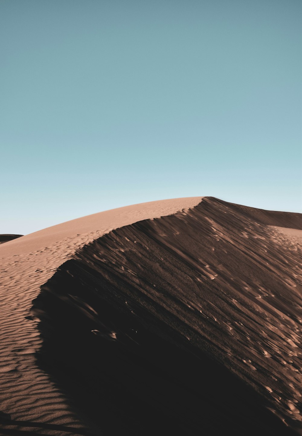 a person standing on top of a sand dune