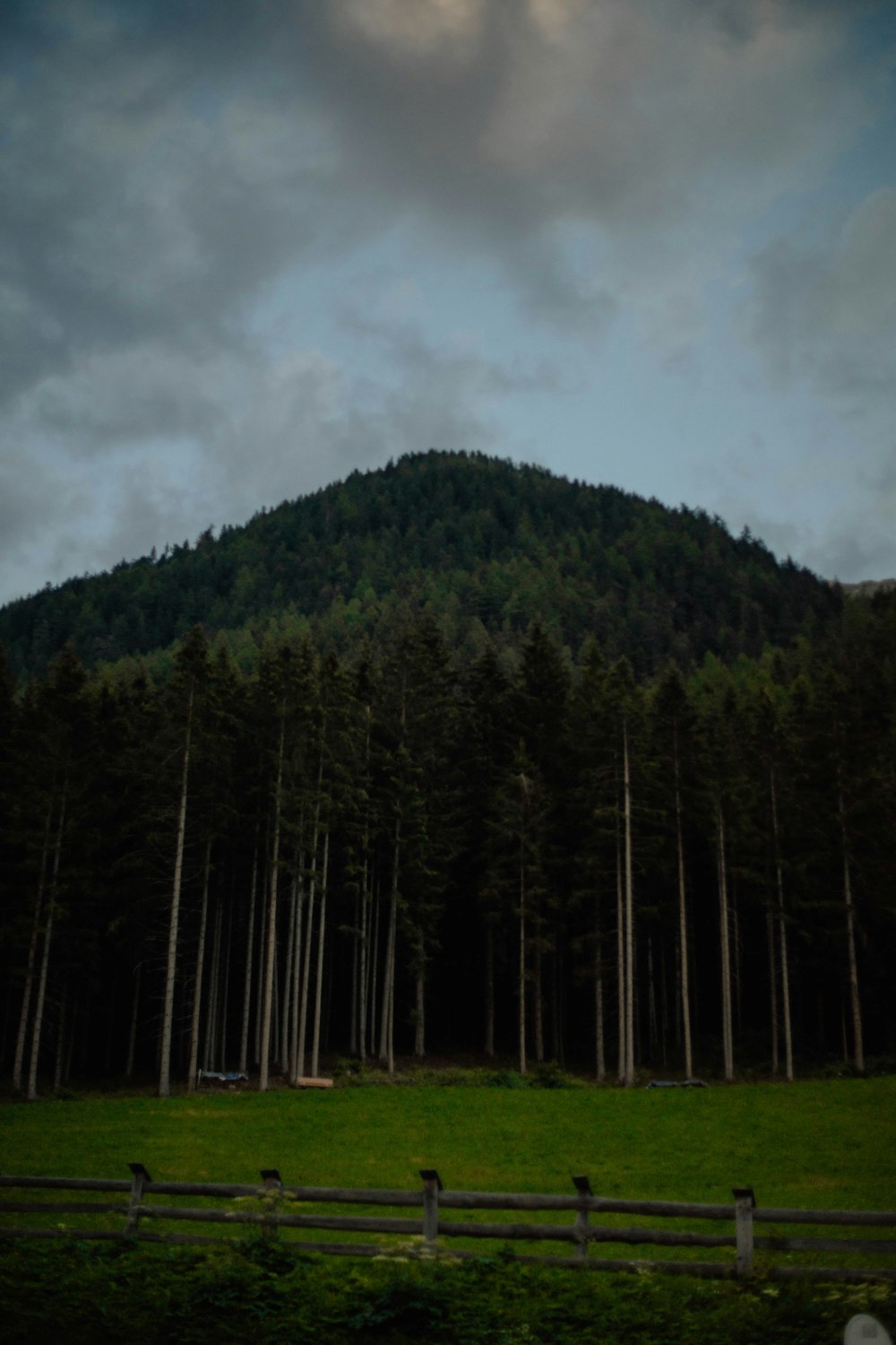 a grassy field in front of a forest under a cloudy sky