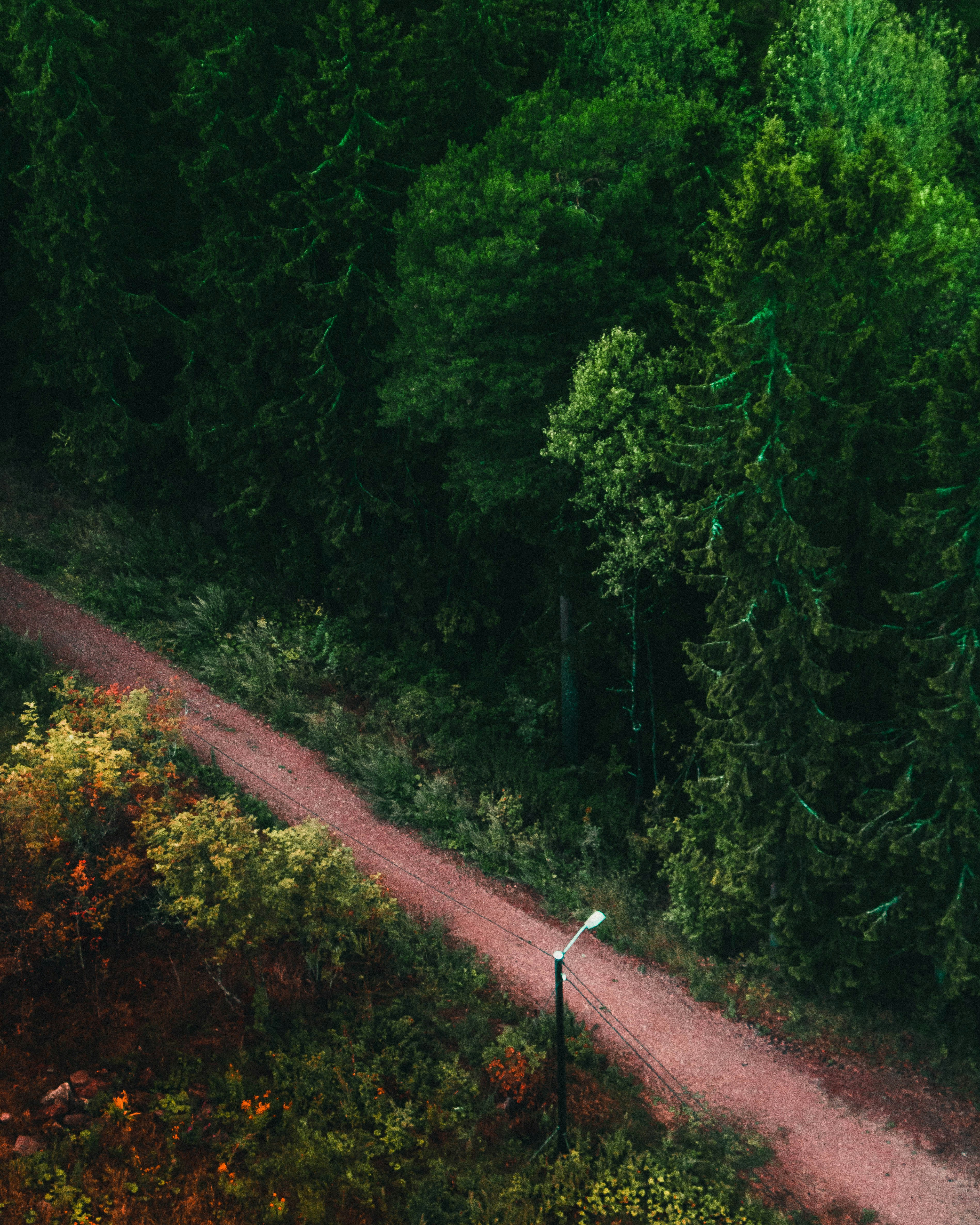 Photo by andreaferrario