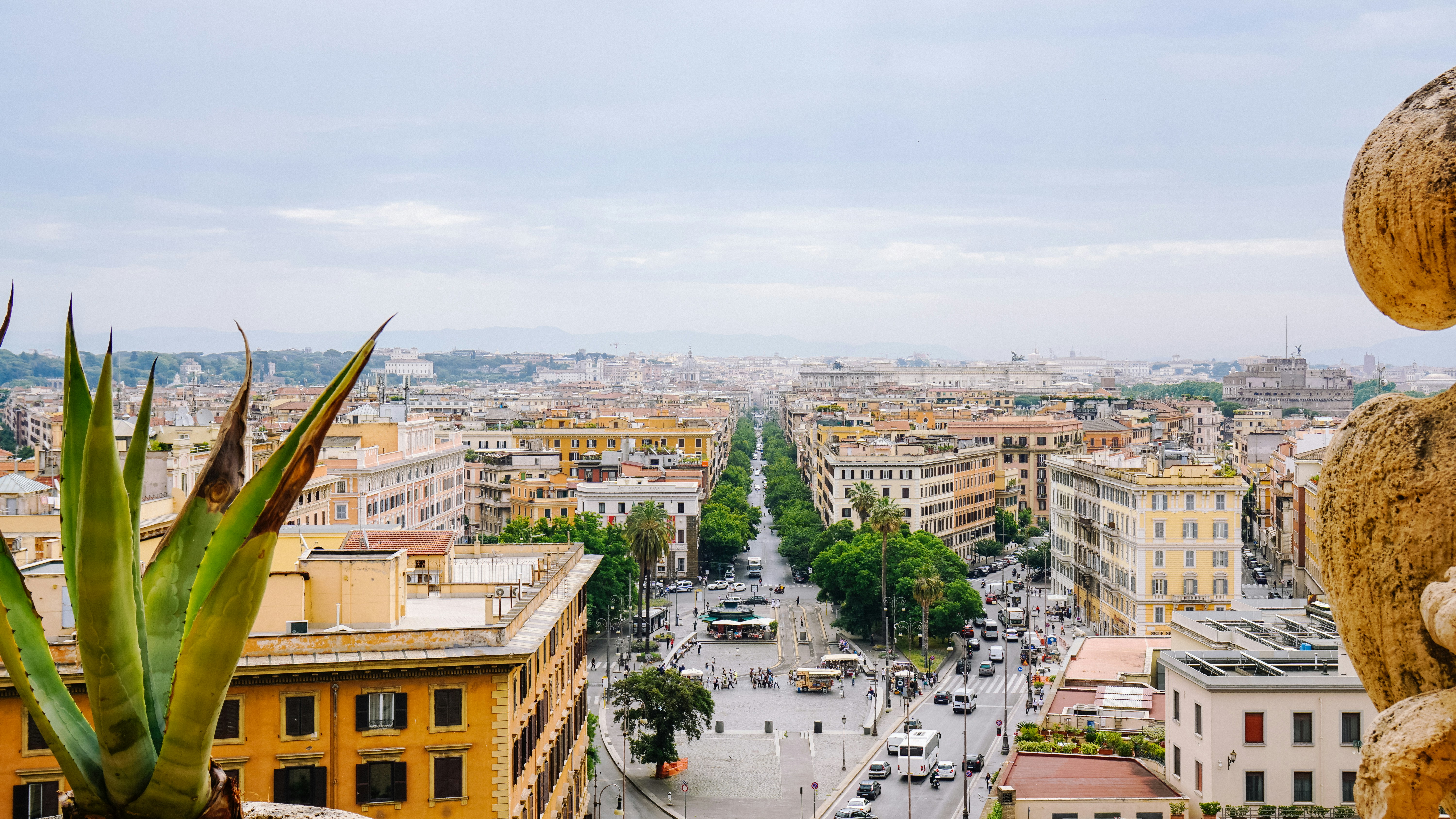 Photo by tintindonguyen