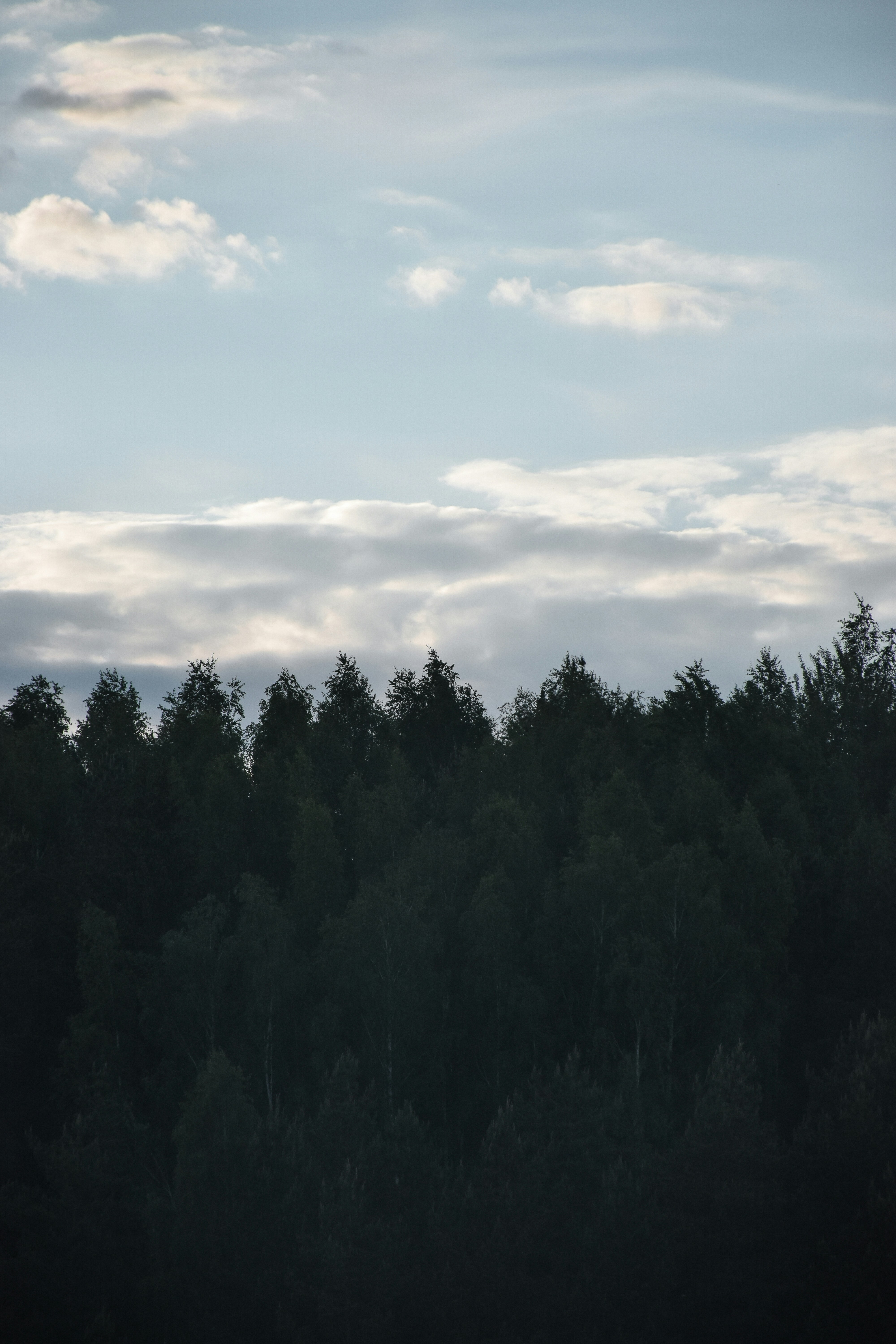 Photo by artem_makarov