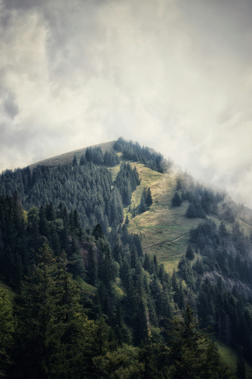 a mountain covered in trees under a cloudy sky