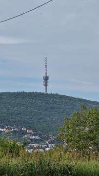 A tall telecommunications tower rises from a densely forested hill, surrounded by lush greenery. A small town with various buildings is visible at the base of the hill, and overhead, a clear blue sky occupies the background.