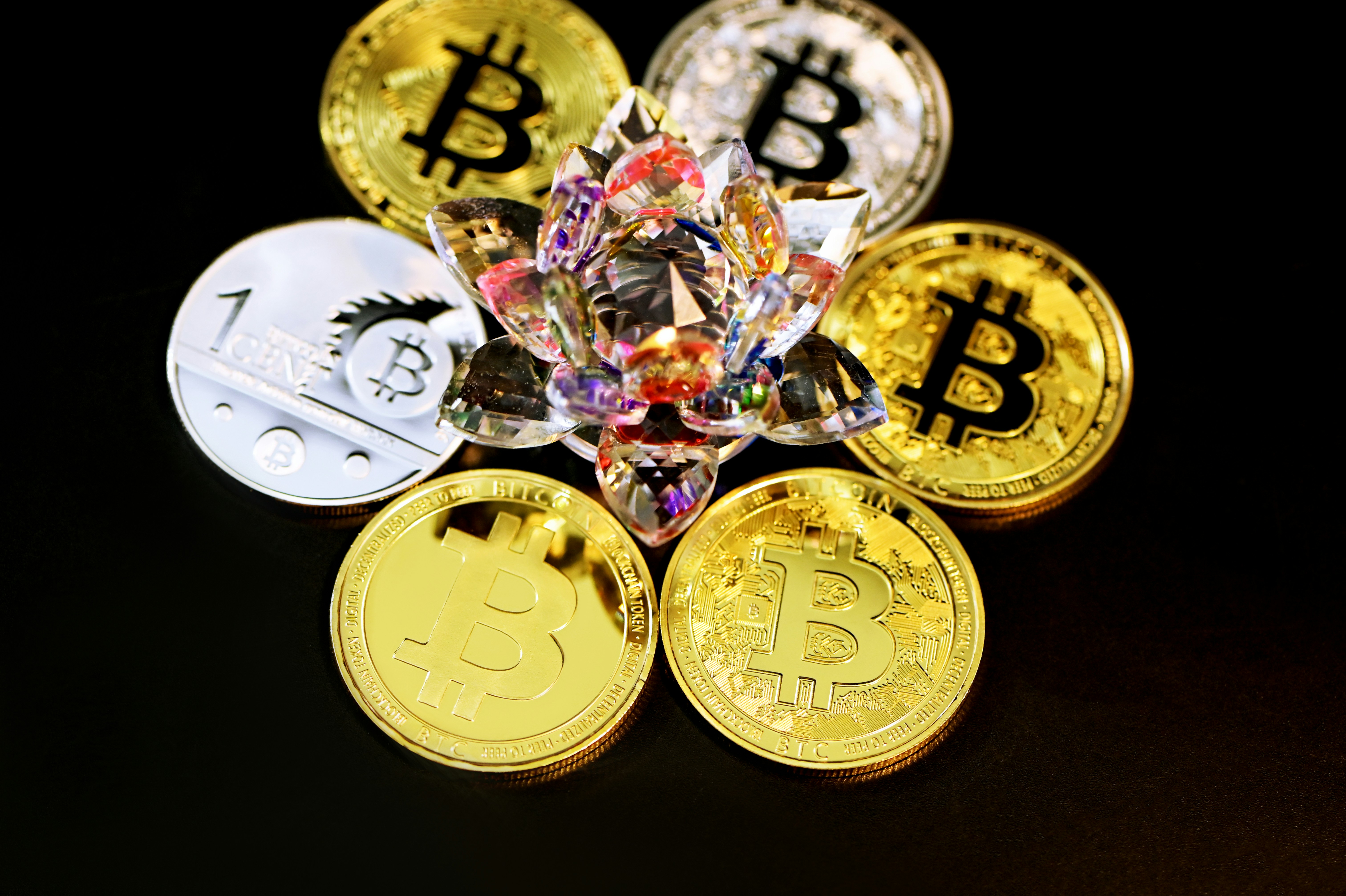 A flower crystal surrounded by different Bitcoin designs.