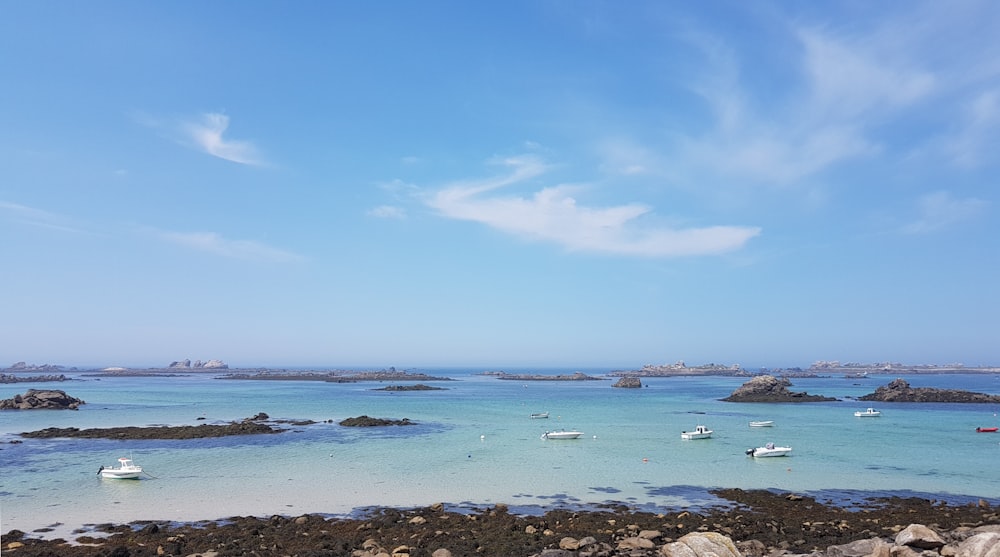 Un grupo de barcos flotando sobre un cuerpo de agua