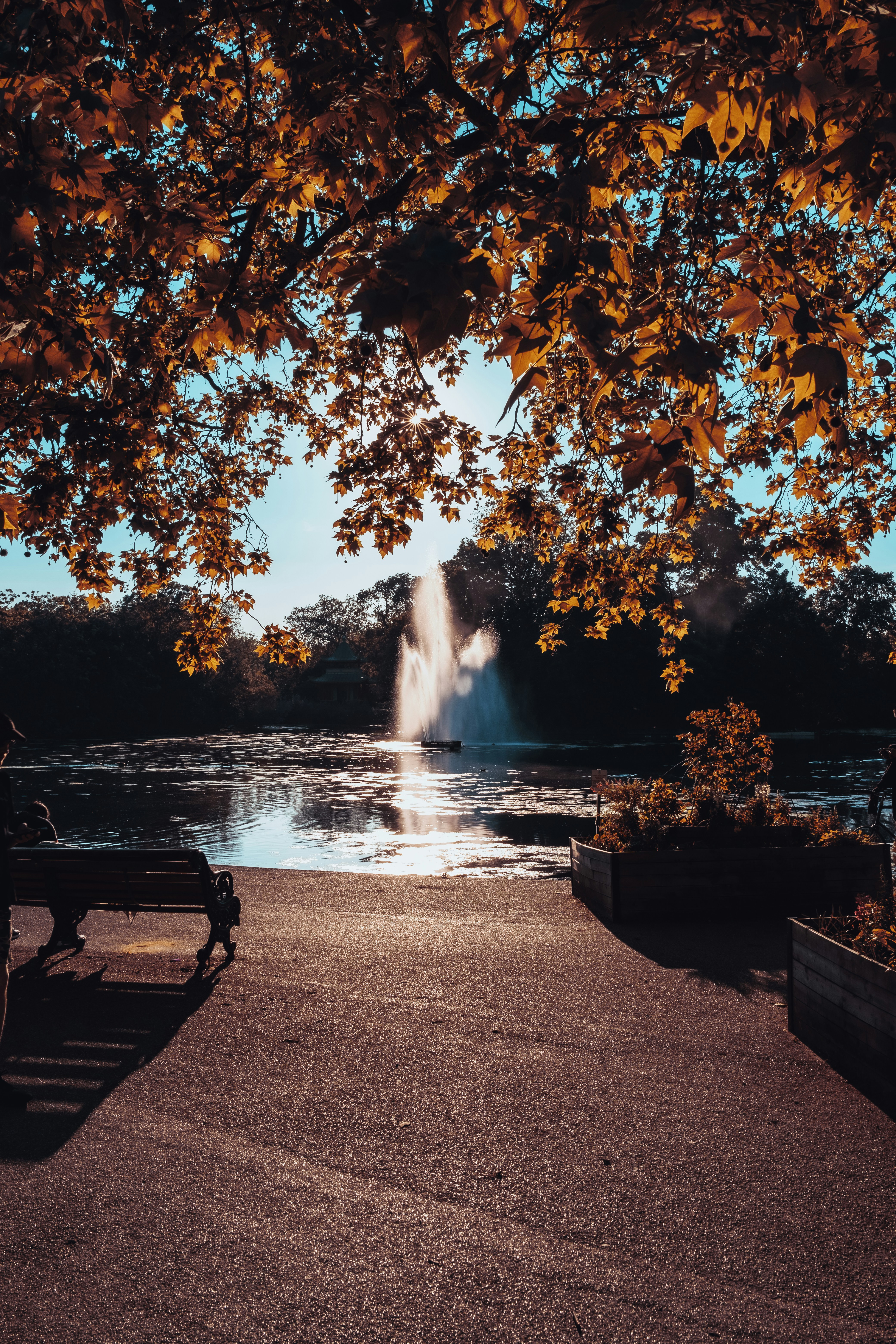 Photo by reganography