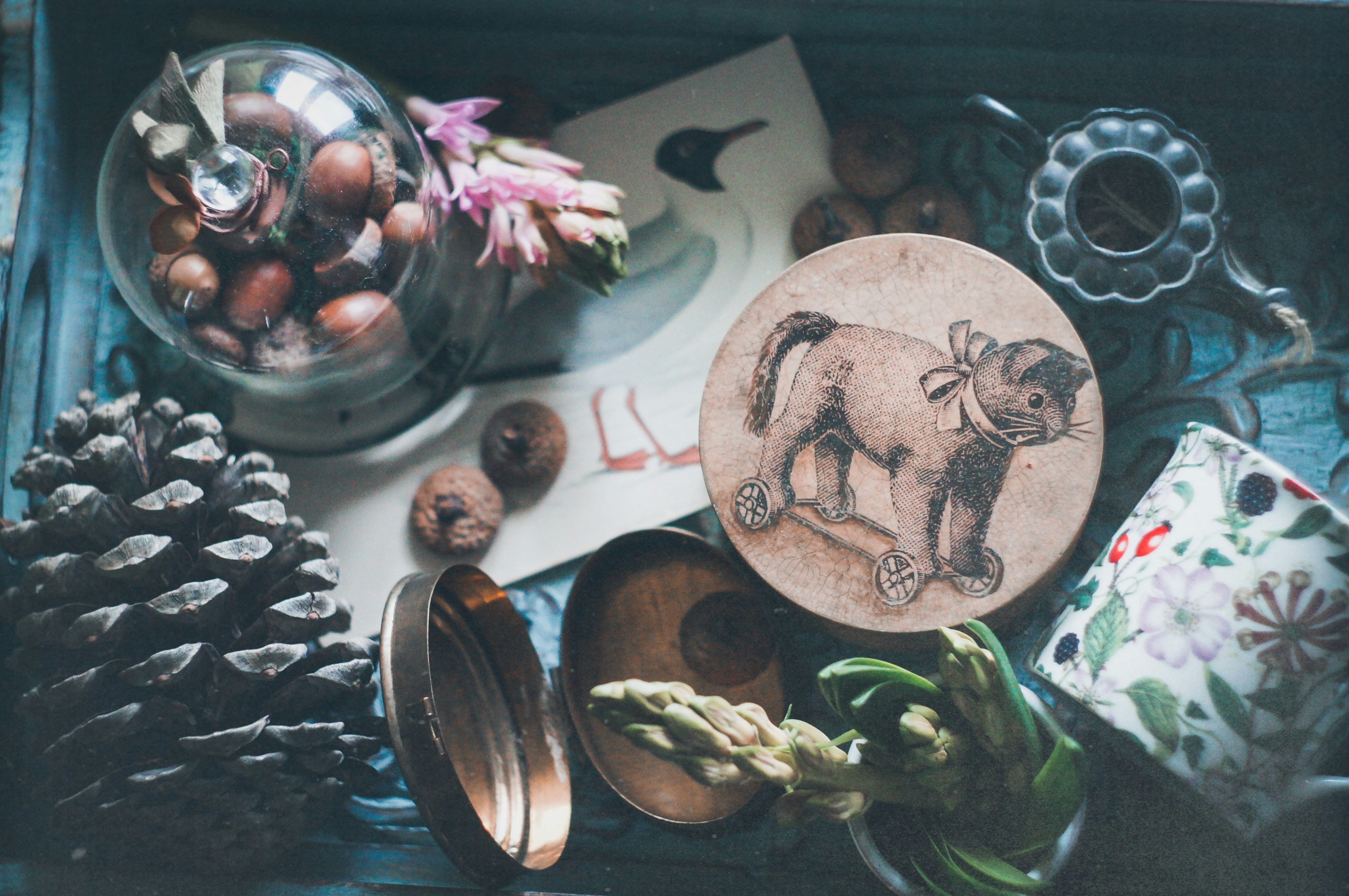 a wooden box filled with pine cones and other items