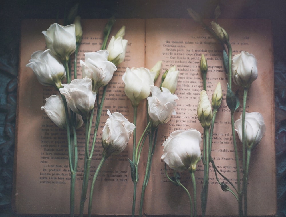 a bunch of white flowers sitting on top of an open book