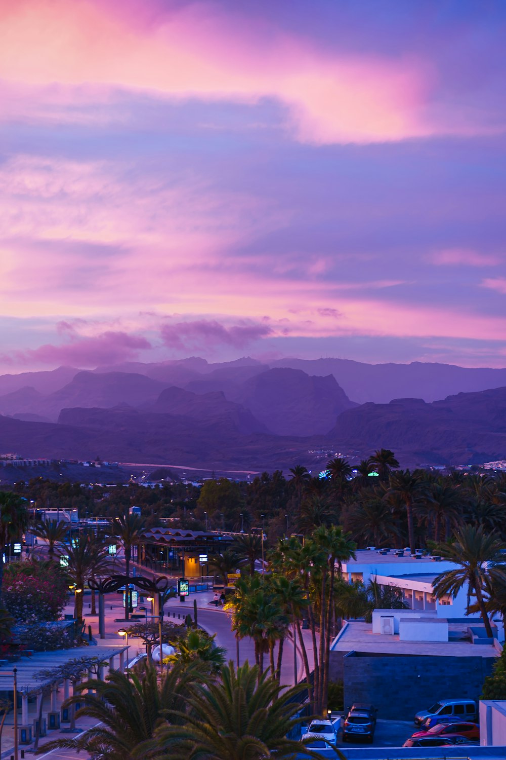 Una vista di una città con palme e montagne sullo sfondo