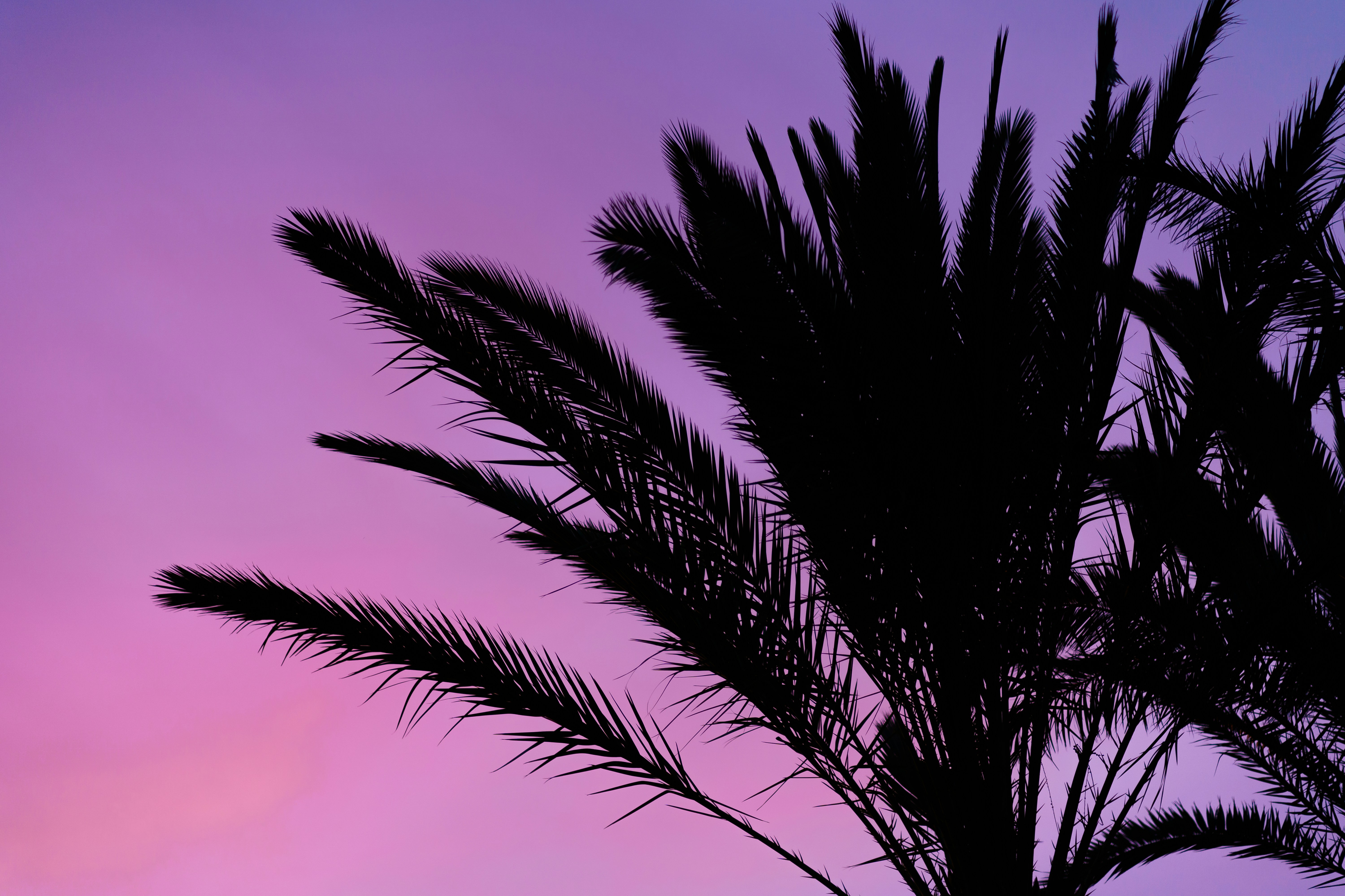 Photo by capturesbybjarne