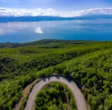 an aerial view of a winding road in the middle of a forest