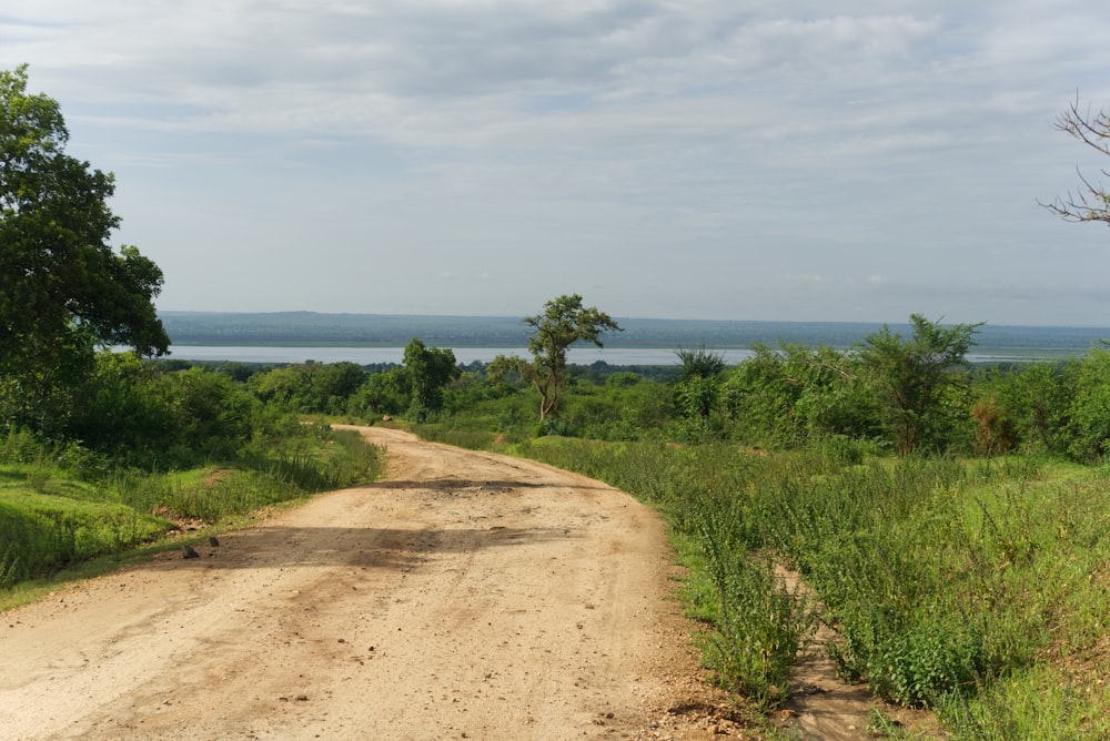 Una strada sterrata in mezzo a un campo