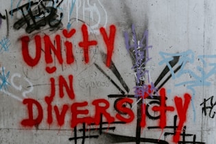 graffiti on a wall that says, only in diversity