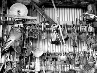 A collection of old tools and equipment hanging on a corrugated metal wall. Includes pulleys, a saddle, various hand tools, and industrial items made of wood and metal.