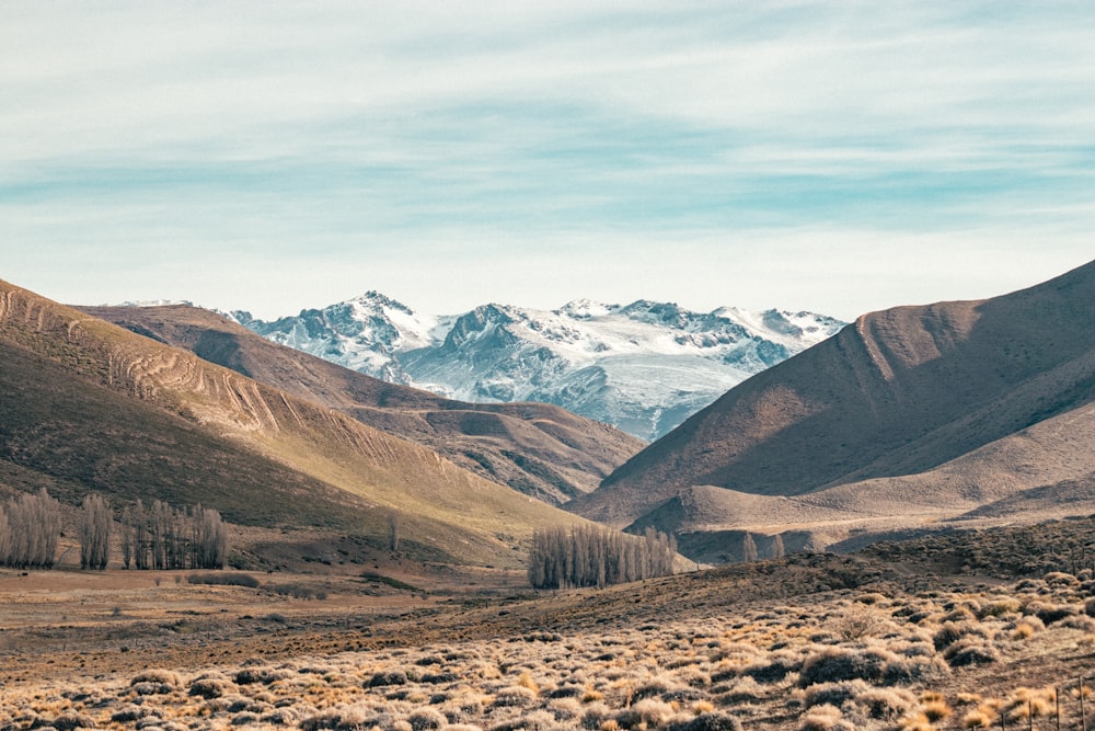 a view of a valley with mountains in the background