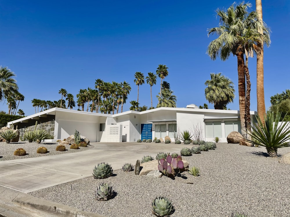 a white house with palm trees in front of it