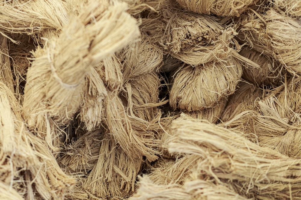 a pile of hay