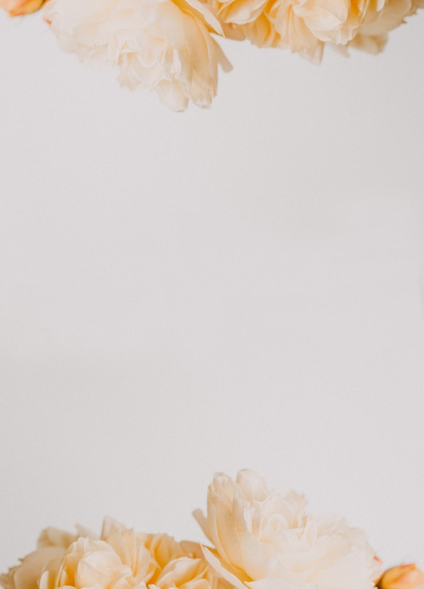 a vase filled with flowers