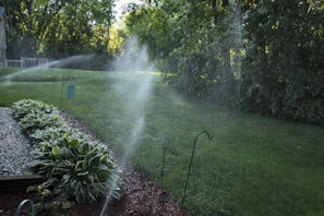 Overview shot of a backyard with multiple sprinklers evenly watering flower beds