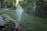 Sprinklers lightly spray water over a lush green lawn bordered by hostas and a mulched garden bed. Sunlight filters through the dense foliage of surrounding trees, creating a serene, natural setting.