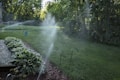 Sprinklers lightly spray water over a lush green lawn bordered by hostas and a mulched garden bed. Sunlight filters through the dense foliage of surrounding trees, creating a serene, natural setting.