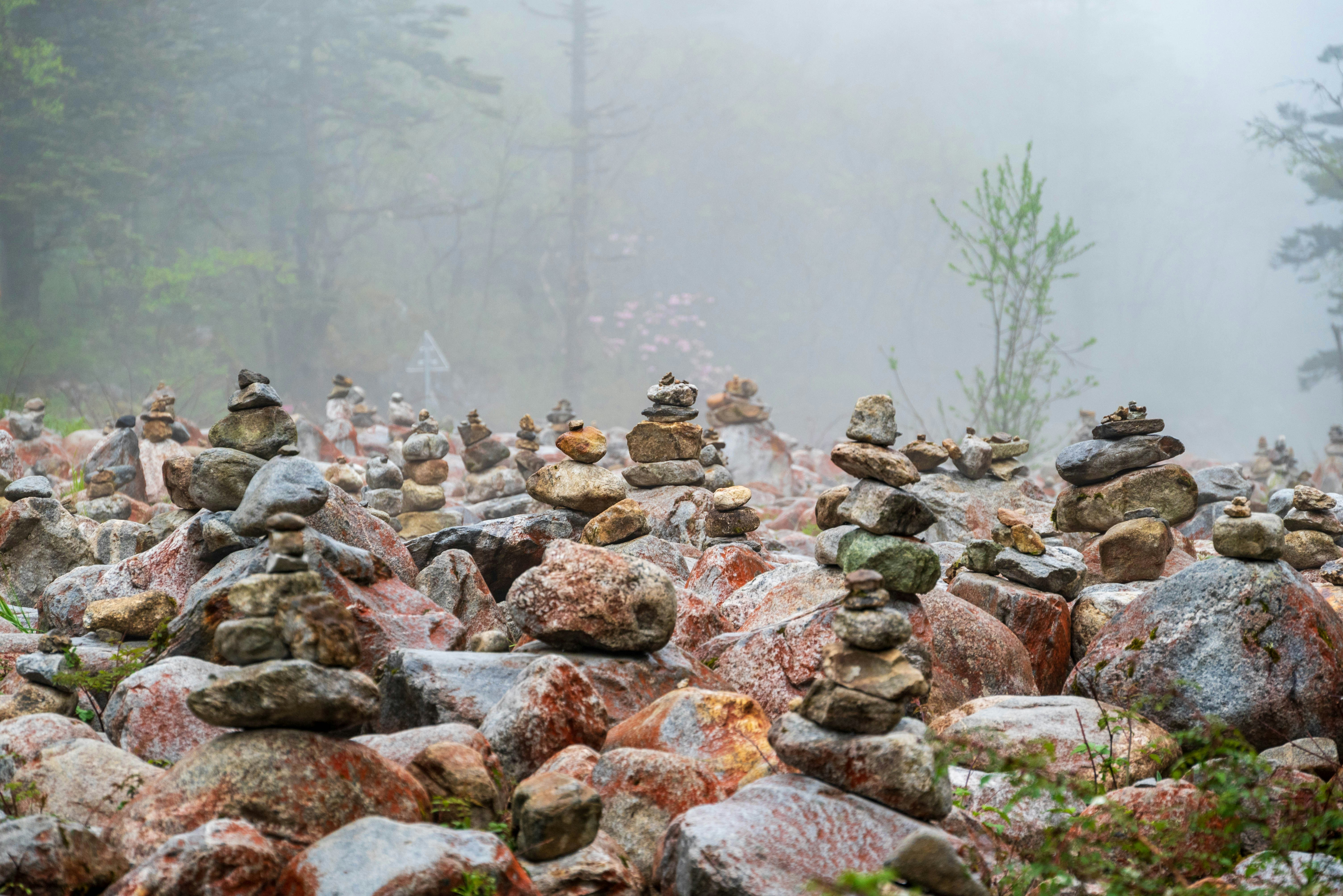 A group of rocks sitting on top of a lush green forest photo – Free ...