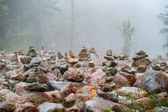 a group of rocks sitting on top of a lush green forest
