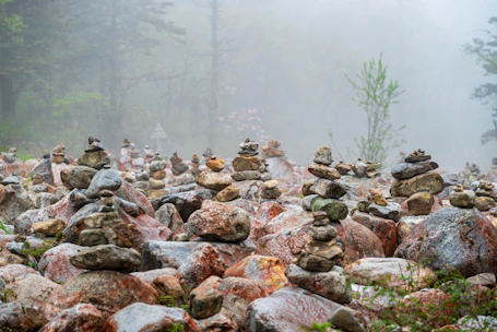 a group of rocks sitting on top of a lush green forest