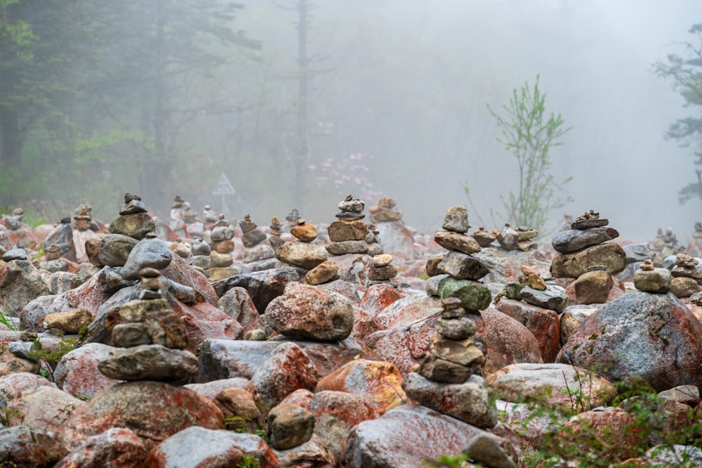 a group of rocks sitting on top of a lush green forest