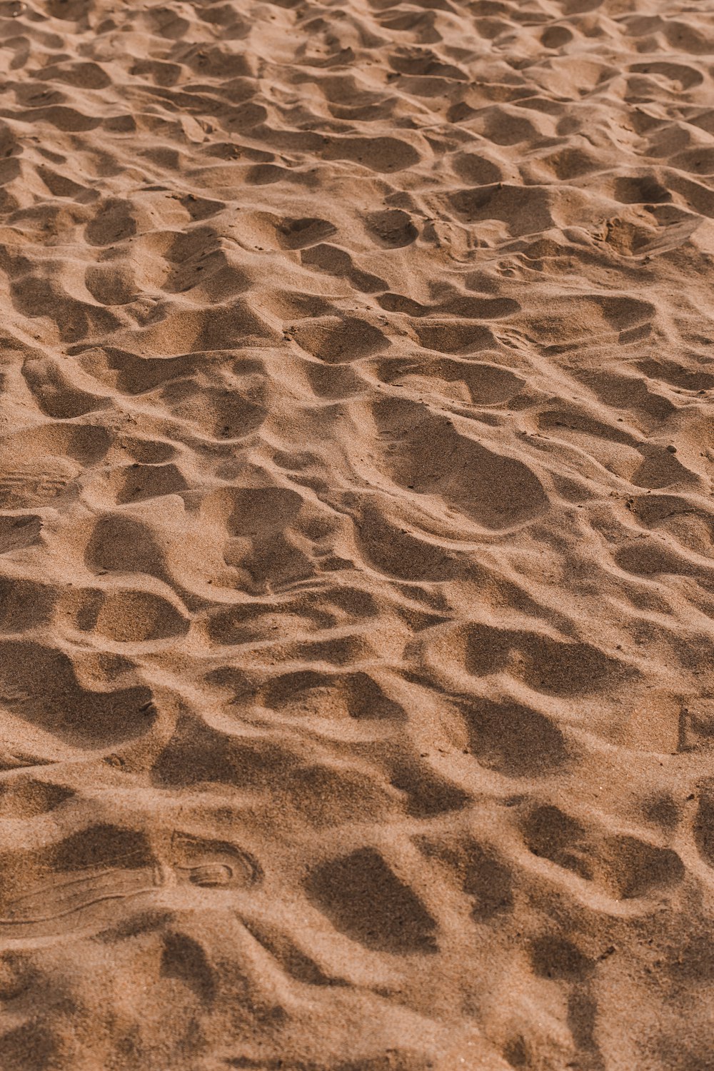 a white frisbee laying on top of a sandy beach