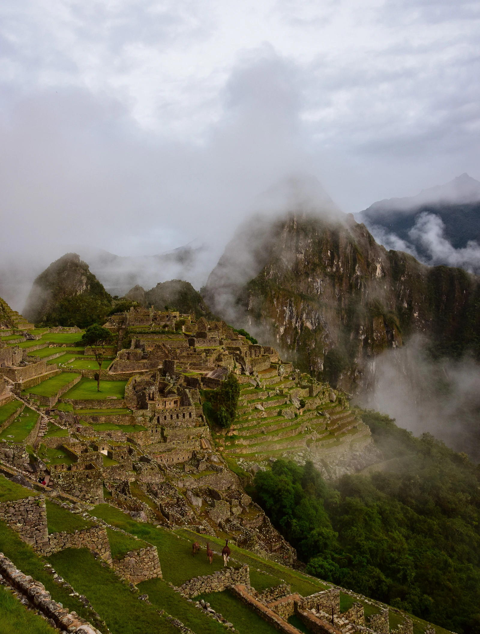 Machu Picchu — Peru travel destination