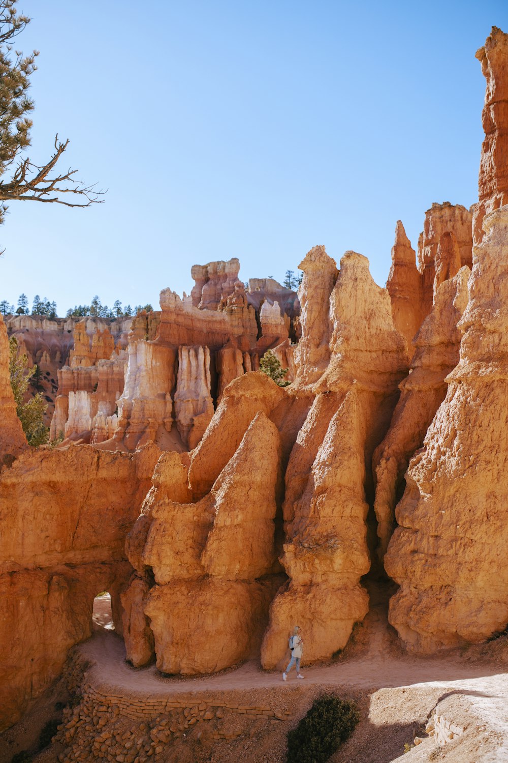 a person standing in front of a rock formation