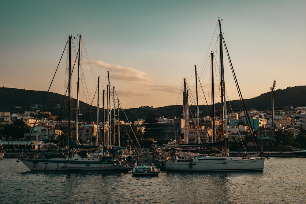 a harbor filled with lots of boats on top of a body of water