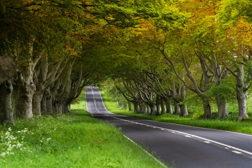 Advanced Driving Blog for Observations