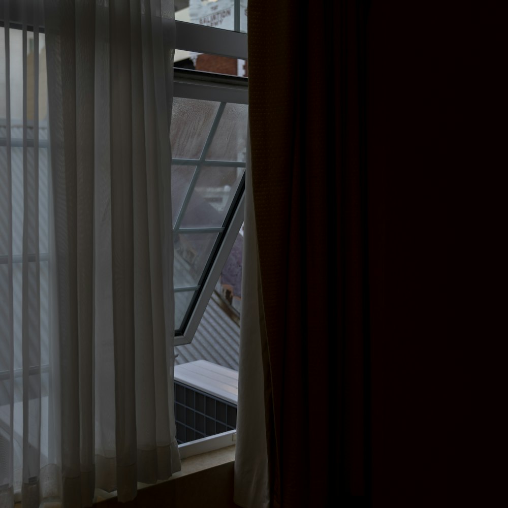 a cat sitting on a window sill looking out the window