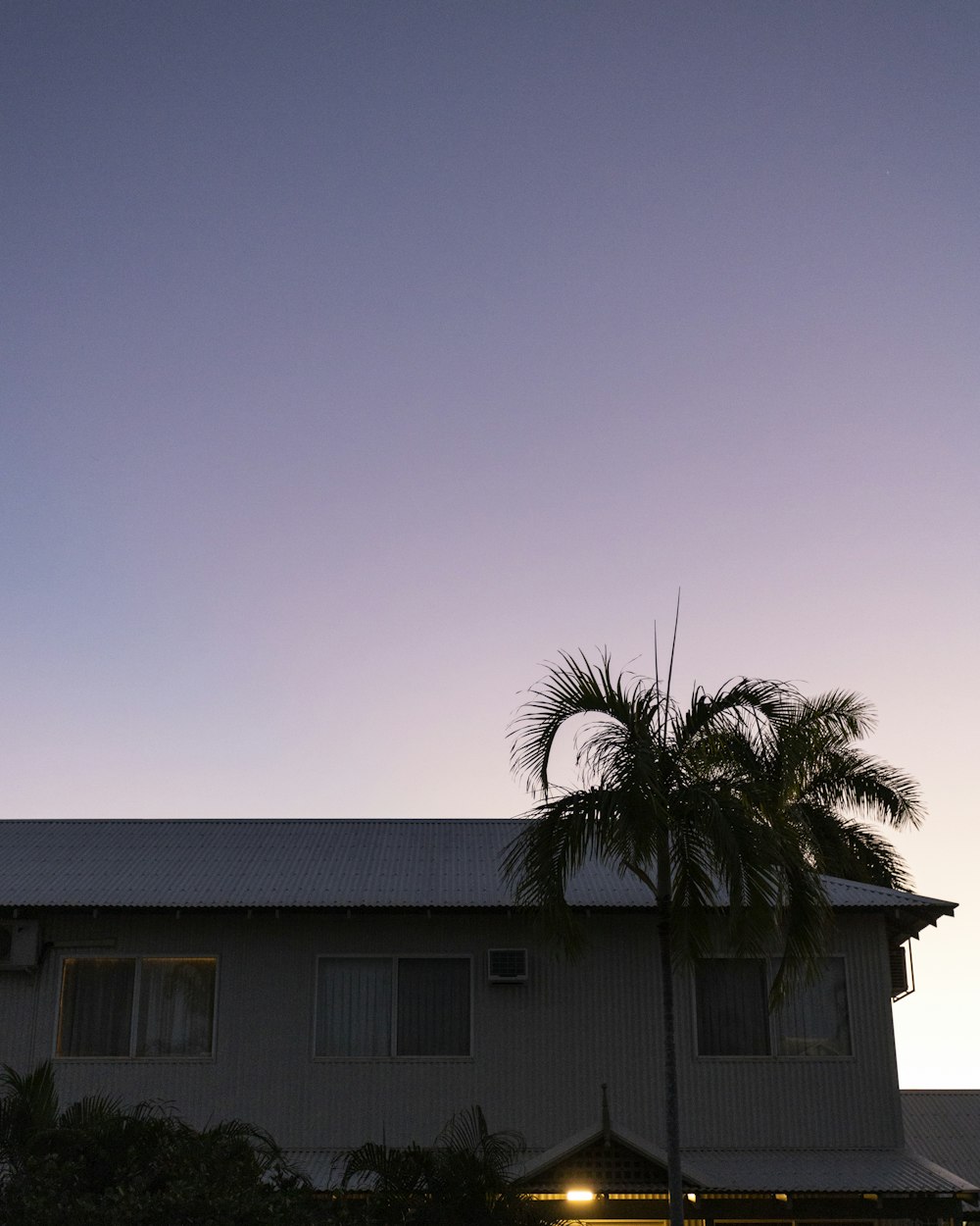 a building with a palm tree in front of it